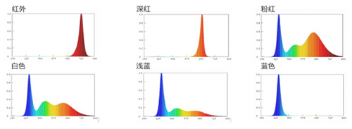 南宫NG娱乐(中国游)官方网站