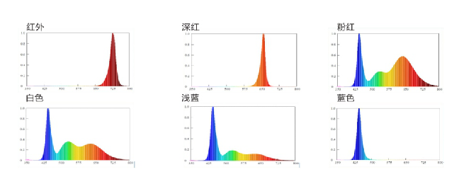 南宫NG娱乐(中国游)官方网站