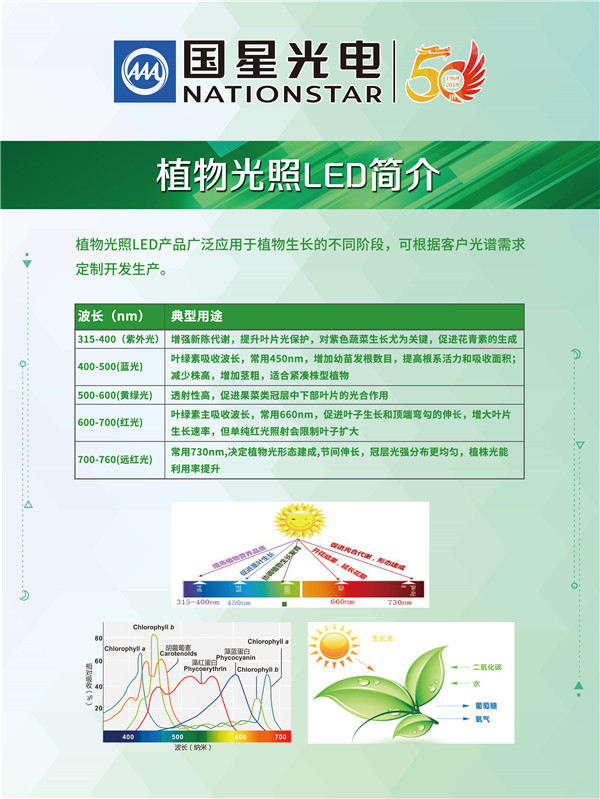 南宫NG娱乐(中国游)官方网站