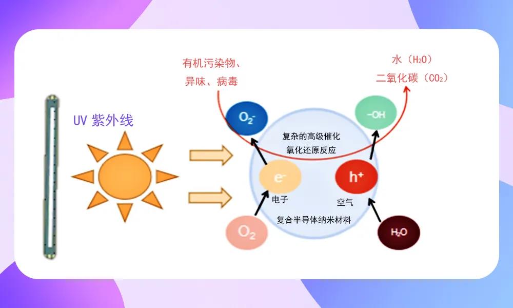 南宫NG娱乐(中国游)官方网站