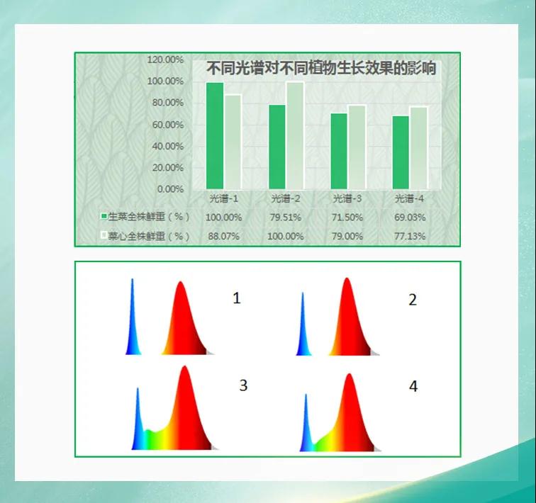 南宫NG娱乐(中国游)官方网站