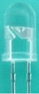 BT-7002-31-T21(F)