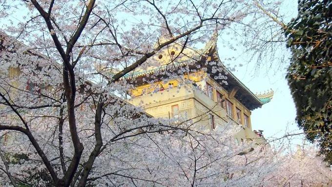 南宫NG娱乐声音 | 让科技的阳光驱散阴霾