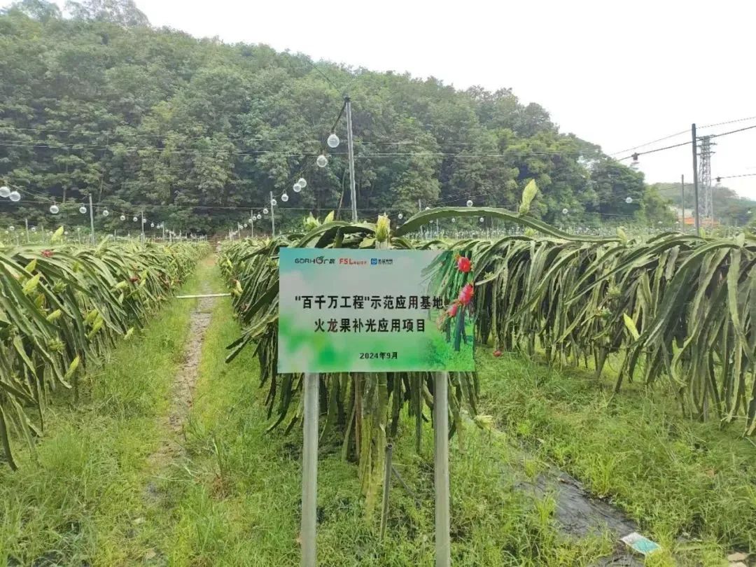 微信图片_20250206090354.jpg
