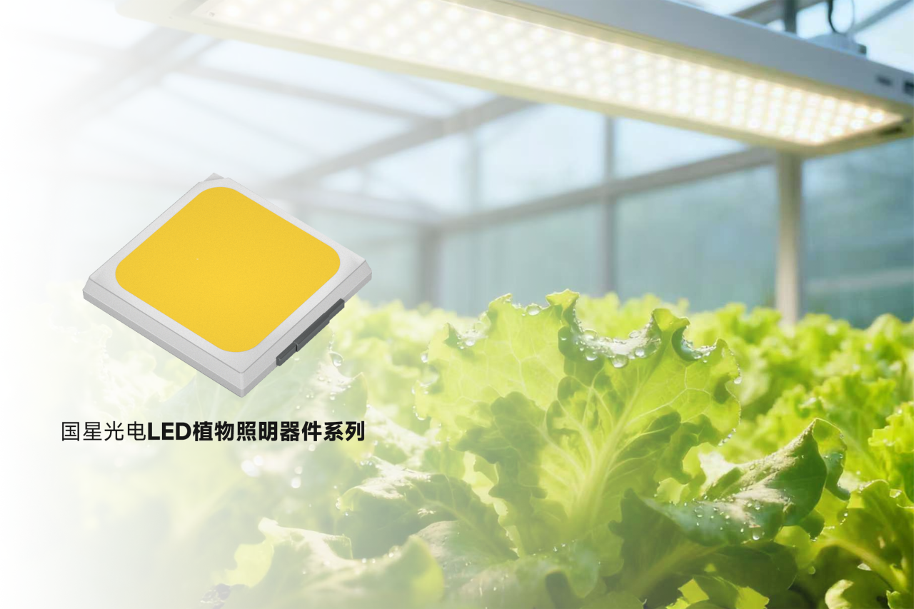 微信图片_2025-11-20_085447_942.png