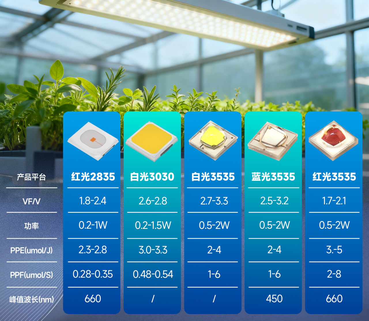 微信图片_2026-02-24_141821_820.png 微信图片_2026-02-24_141821_820.png