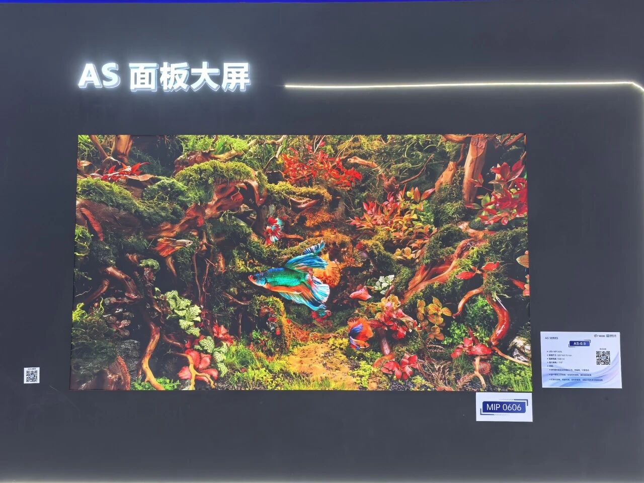 微信图片_2026-03-18_095336_739.jpg 微信图片_2026-03-18_095336_739.jpg